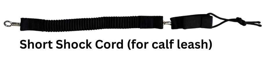Leash Shock Cord
